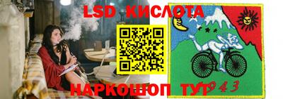 стафф Донецк