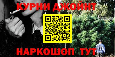 стафф Донецк