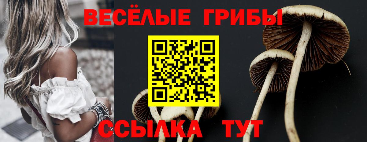 Магнитогорск  Псилоцибиновые грибы Psilocybe  Вход с VPN 